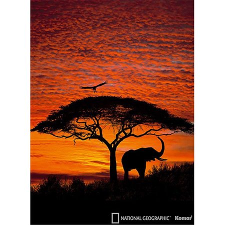 BREWSTER HOME FASHIONS African Sunset Wall Mural - 106 in. BR459319